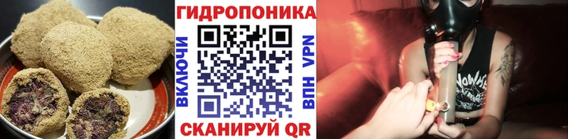 купить закладку Иннополис Печенье с ТГК конопля