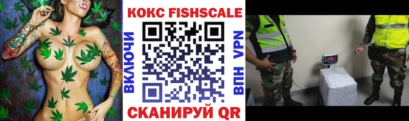 Кокаин Боливия Иннополис