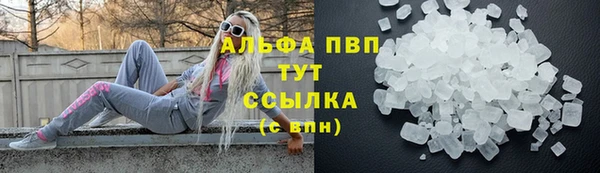 стаф Абаза