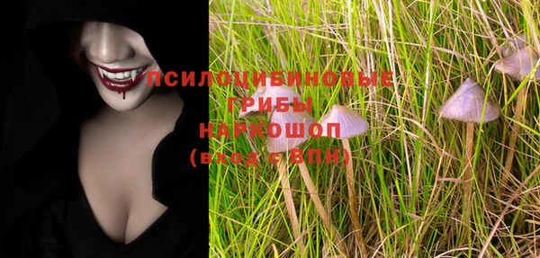 хмурый Абинск