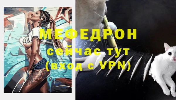 стаф Абаза