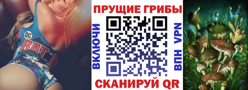 Псилоцибиновые грибы прущие грибы  ссылка на мегу сайт  Иннополис 