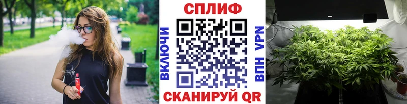 Бошки марихуана ГИДРОПОН  Иннополис 